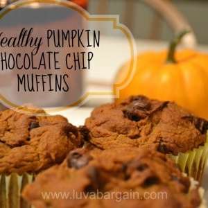 Pumpkin Chocolate Chip Muffins