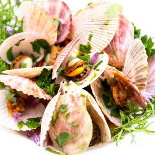 Swimming Scallops Vongole Style