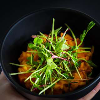 Carrot Risotto with Pea Microgreen Salad