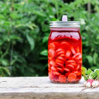 Fermented Radishes