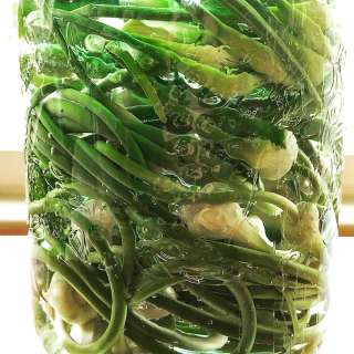 Fermented Garlic Scapes (Traditionally Pickled)
