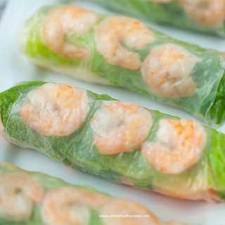 Vietnamese Spring Rolls