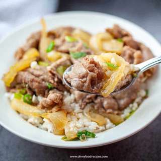 Gyudon Beef Bowl