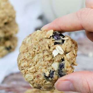 Easy Lactation Cookies (dairy-free, gluten-free)