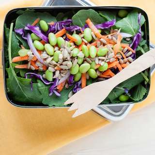 Kale Salad with Edamame and Asian Dressing