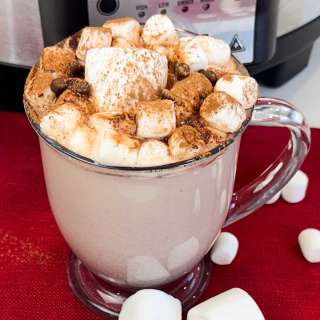 Slow Cooker Hot Cocoa (with Powder)