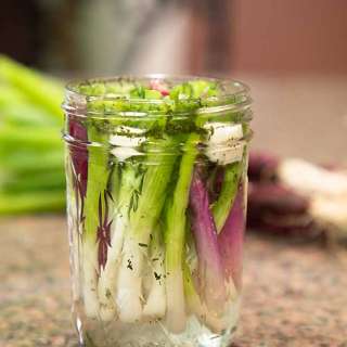 Quick Pickled Scallions