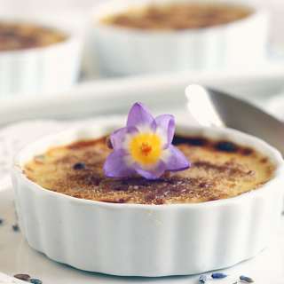 No Torch Lavender Creme Brulee