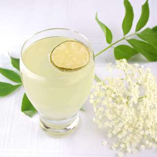 Elderberry Cordial