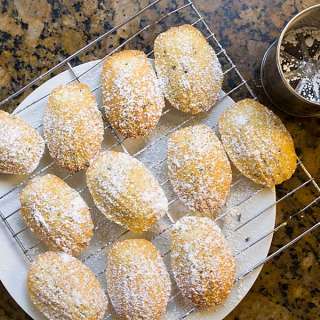 Lavender Vanilla Madeleines