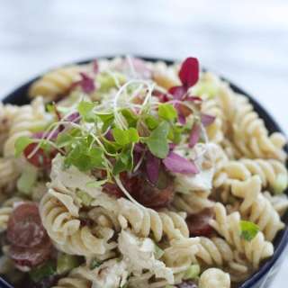 Chicken Pasta Salad with Pecans