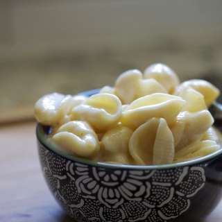 Shells and White Cheddar