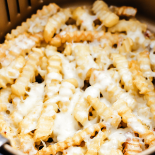 Air Fryer Cheese Fries