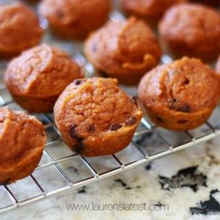 Mini Pumpkin Chocolate Chip Muffins