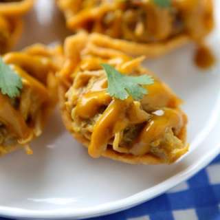 Carolina BBQ Pulled Pork Frito Bites