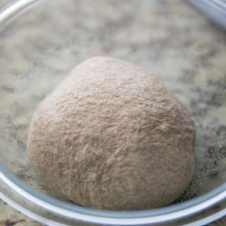 Whole Wheat Pizza Dough