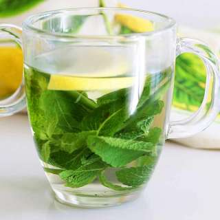 Mint Tea Recipe (Hot or Iced)