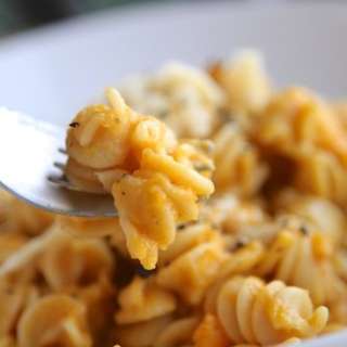 Creamy Butternut Squash Pasta Sauce