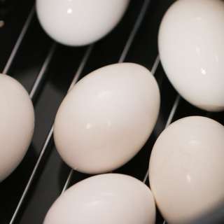 Instant Pot Hard Boiled Eggs