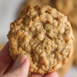 The BEST Oatmeal Cookie Recipe (no Raisins)