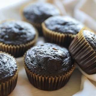 Chocolate Protein Muffins