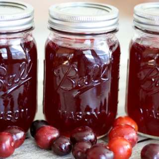 Homemade Wild Plum Jelly