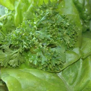 My Favorite Green Smoothie