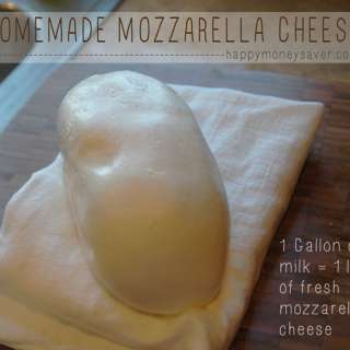 Homemade Mozzarella Cheese