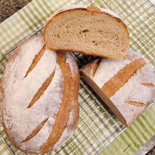 Whole Wheat Sourdough Bread