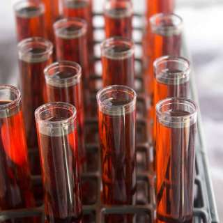 Forbidden Forest Test Tube Shots