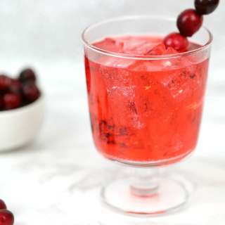 Cranberry Ginger Fizz Cocktail