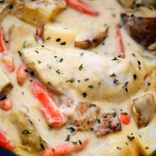 Crock Pot Creamy Ranch Chicken