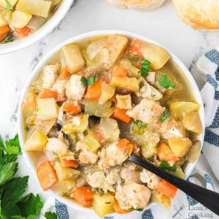 Slow Cooker Chicken Stew