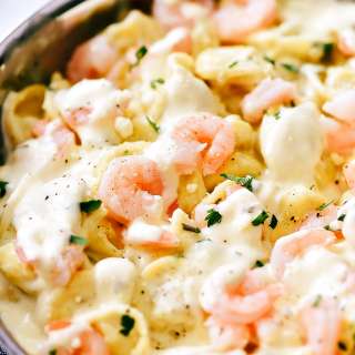 Shrimp Tortellini Alfredo
