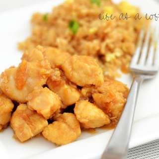 Low Fat Orange Chicken