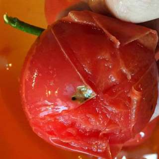 How to Easily Peel a Tomato