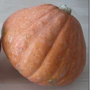 Quinoa and Sausage Stuffed Squash Recipe