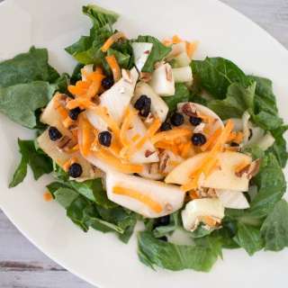 Apple Fennel Salad with Blueberries