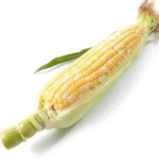 How to Cook Corn on the Cob on the Stove