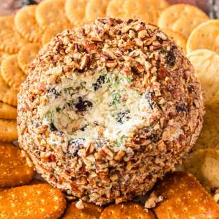 Onion Cranberry Pecan Cheese Ball