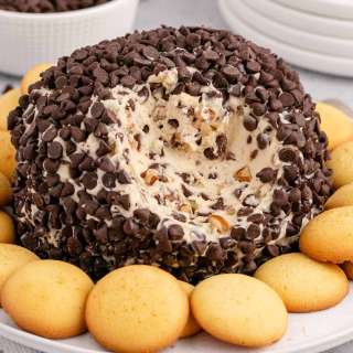 Chocolate Chip Cheese Ball