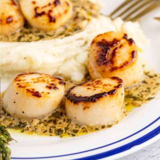 Pan Seared Scallops with Creamy Pesto Sauce