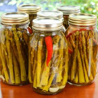 Canned Pickled Spicy Asparagus