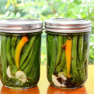 Quick Refrigerator Spicy Dill Green Beans
