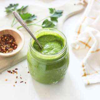 Blender Chimichurri Sauce