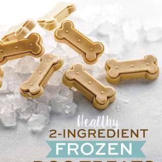 2-Ingredient Healthy Dog Treats