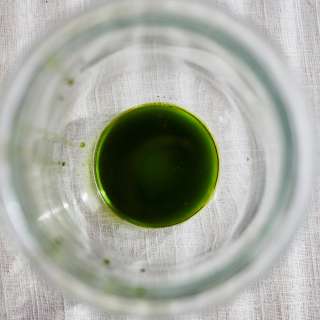How to Make Herb Oil