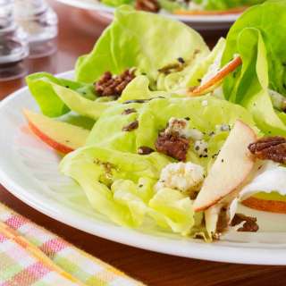 Butter Lettuce with Blue Cheese, Apples and Candied Pecans with a Balsamic Vinaigrette