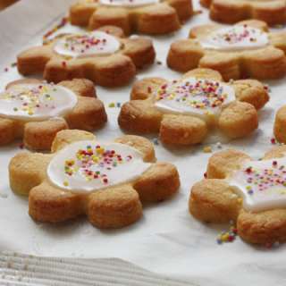 Iced citrus Shrewsbury biscuits