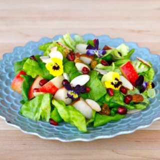 Tu B'Shevat Salad with Pomegranate Dressing